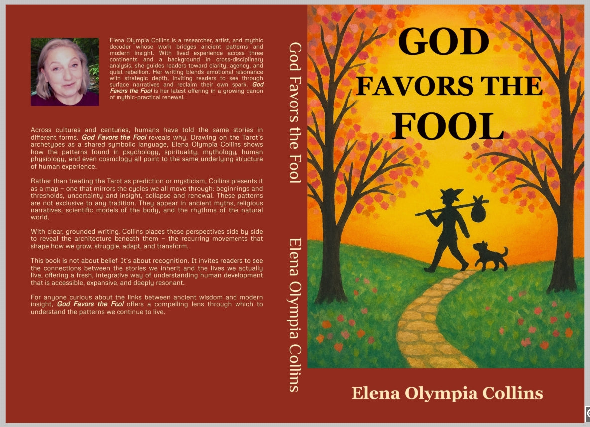 God Favors the Fool (Paperback)